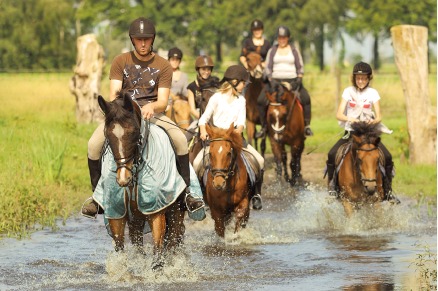 Groepsaccommodatie Manege Gasselte aan de Drentse Staatsbossen VMP044